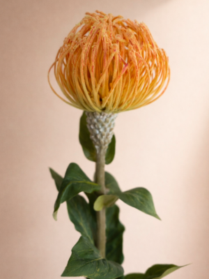 Zijden bloem - Protea Velvet Orange