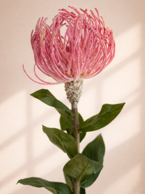 Zijden bloem - Protea Velvet Pink