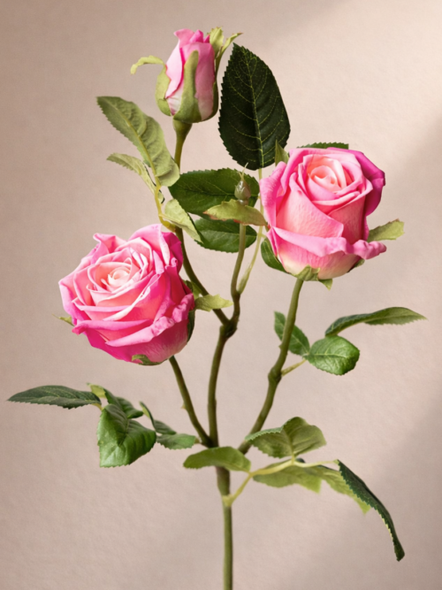 Zijden bloem - Dubbele Roos Roze