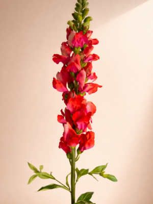 Zijden bloem - Snapdragon Koraal