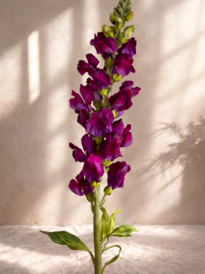 Zijden bloem - Snapdragon Paars