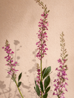 Zijden bloem - Vlinderstruik Roze