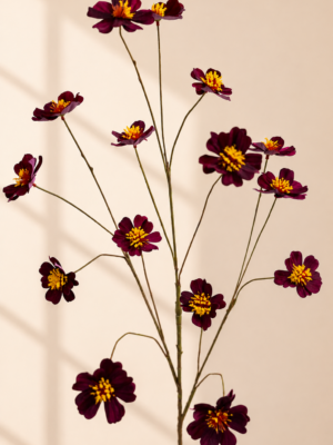 Zijden bloem - Cosmostak Aubergine Silk-ka