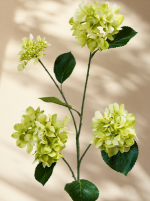 Zijden bloem - Sprietige Hydrangea Fris Groen