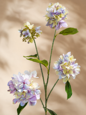 Zijden bloem - Hydrangea Sprietig Pastel