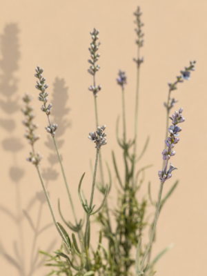 Zijden bloem - Lavendel Paars/Groen
