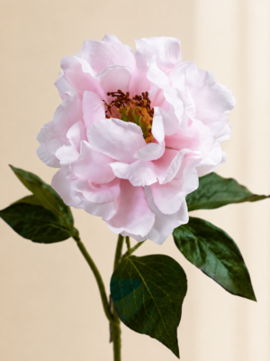 Zijden bloem - Pioenroos Lichtroze Silk-ka
