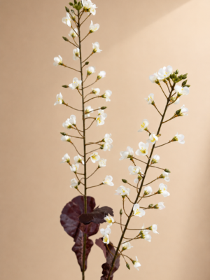 Zijden bloem - Primula Crème Silk-ka
