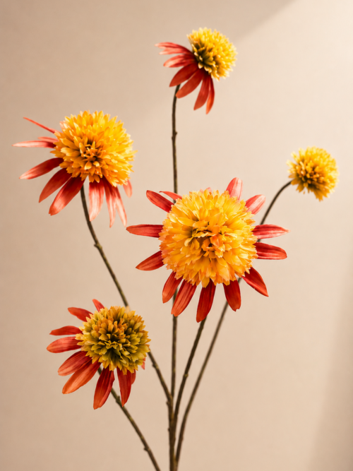 Zijden bloem - Rudbeckia Oranje Silk-ka
