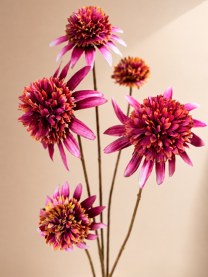 Zijden bloem - Rudbeckia Roze Silk-ka