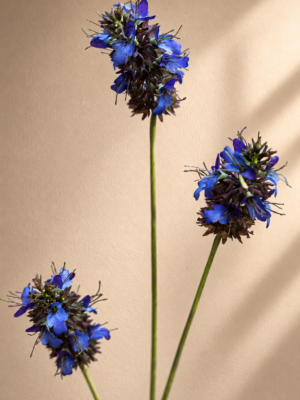 Zijden bloem - Salvia Paars Silk-ka