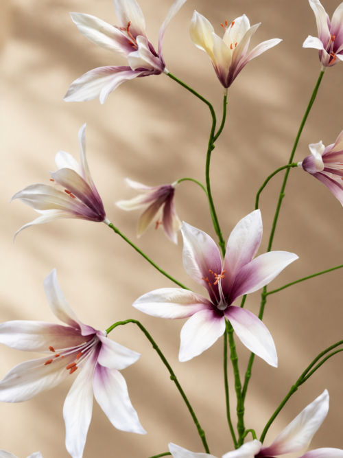 Zijden bloem - Lelie Wit/Paars Silk-ka