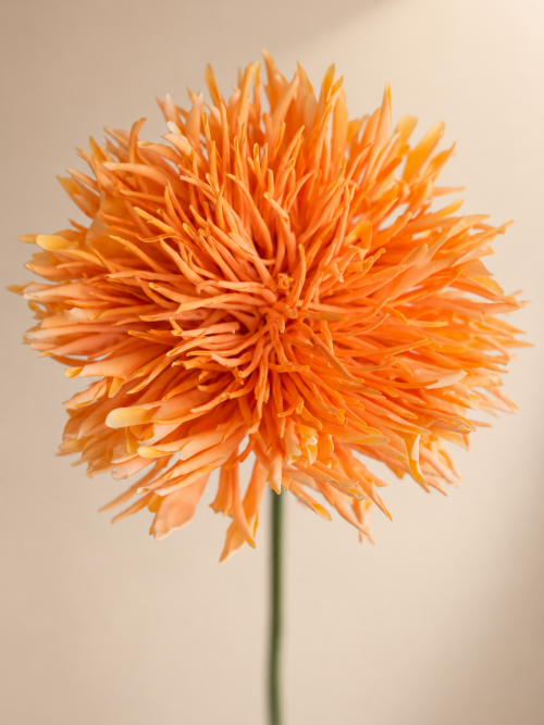 Zijden bloem - Chrysant Orange